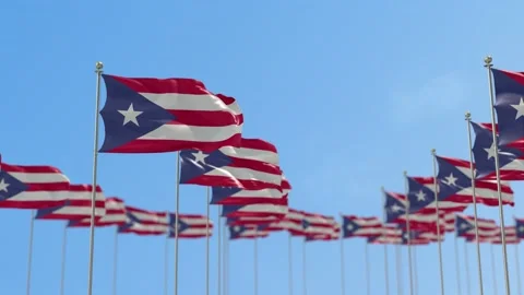 Puerto Rico Row Of Flags Animation Stock-Footage 148783385