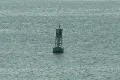 Puerto Rico - San Juan: harbor bouy Footage