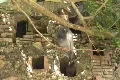 Puerto Rico - San Juan: Pigeons at Parque las Palomas 1 Footage