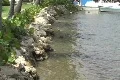 Puerto Rico - Waterfront on Mangrove Cays Area at La Parguera Footage