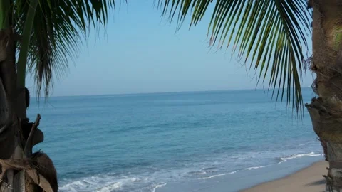Puerto Vallarta beach with palm trees waves crashing Stock Footage 294674053