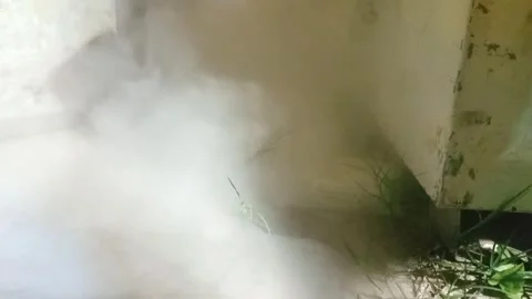 Puff Stock Footage 311284198
