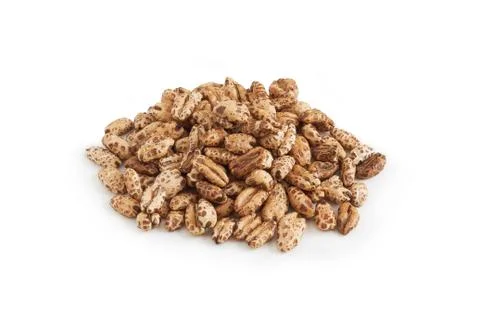 Puffed barley cereal Stock Photos