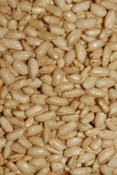 Puffed rice grains texture background healthy breakfast cereal natural food Fotos Stock
