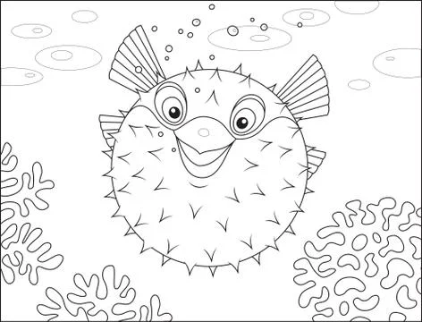 Puffer fish Stock Illustration