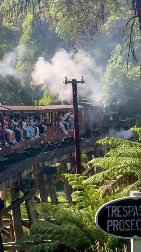 The Puffing Billy steam train in Melbourne Video stock 313287027