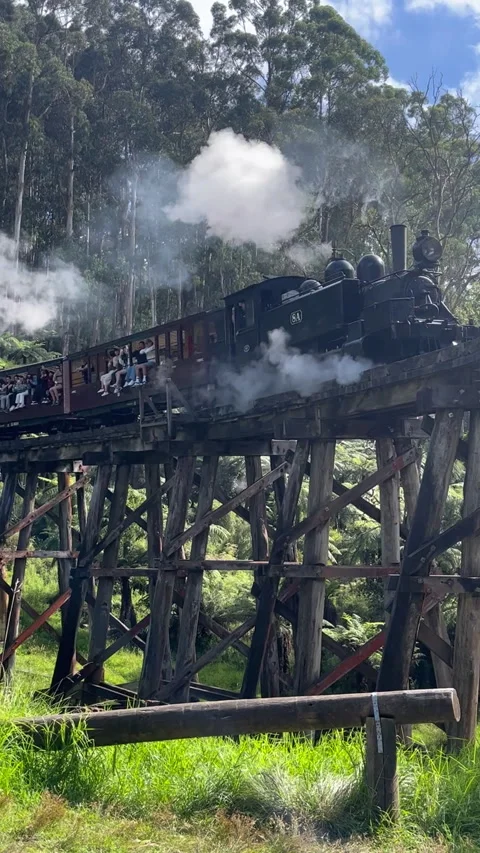 The Puffing Billy steam train in Melbourne Stock Footage 313287533