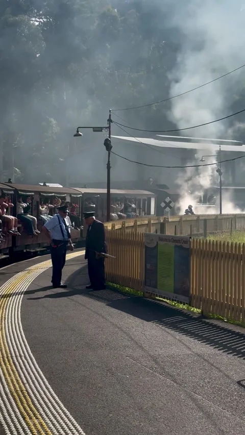 The Puffing Billy steam train in Melbourne Stock Footage 313287571