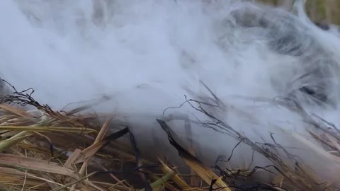 Puffs of gray smoke from burning dry rice plants (6) Stock Footage 322113049