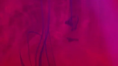 Puffs of multi-colored liquid ink paint flow in the liquid. Stock Footage 193454982