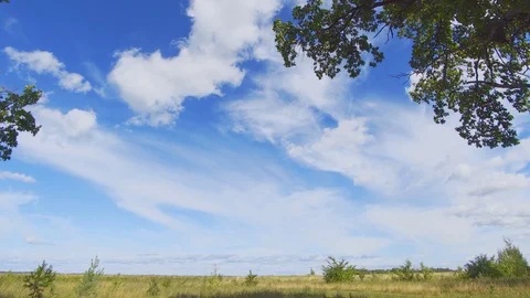 Puffy Clouds Drift in Gentle Breeze over Russian Grassland Stockbeeldmateriaal 102501555