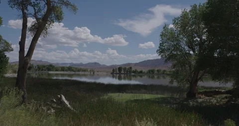 Puffy clouds over lake with trees TIMELAPSE 0101LC709a Stock Footage 93716501