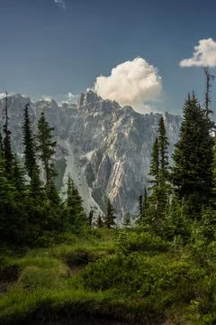 Puffy Clouds Rise Over Cliffs Near Spray Park In Mount Rainier Fotos Stock