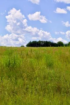 Puffy clouds, rolling hills, Minnesota praiirie, vertical Stock Photos