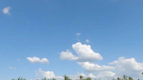 Puffy fluffy white cloud on dramatic blue sky with palm trees Stock-Footage 152577413