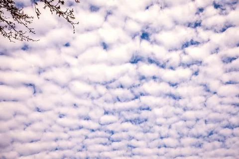 Puffy Pattern of Summer Clouds forming sky Stock Photos