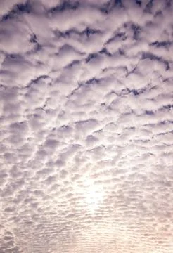 Puffy Pattern of Summer Clouds forming sky Stock Photos