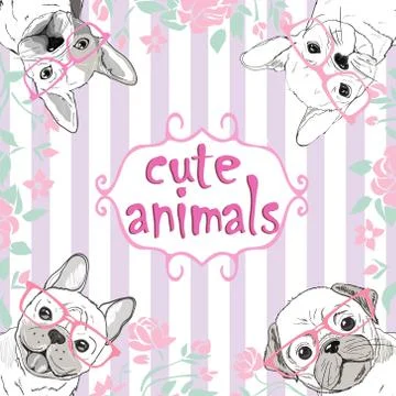 Pug and dulldog set- vector illustration Stock Illustration