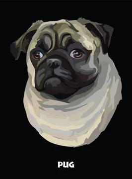 Pug colorful vector portrait Stock Illustration