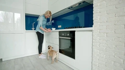 The pug dancing for the food Stock Footage 93777928