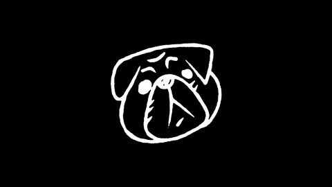 Pug Dog Face Icon 動画素材 345592642