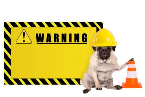 Pug dog with yellow constructor worker safety helmet Stock Photos