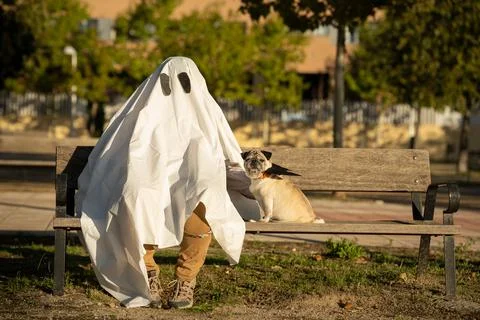 Pug dressed as vampire sits right next to a ghost on a bench at the park duri Stock Photos