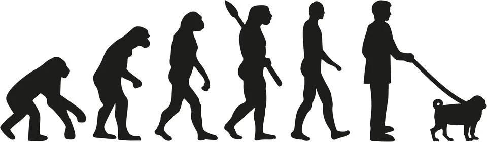 Pug evolution Stock Illustration