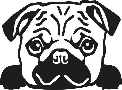 Pug head Stock Illustration