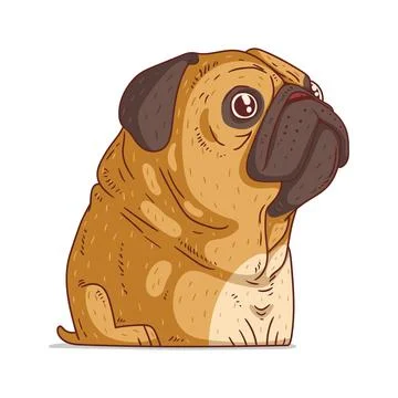 A Pug, isolated vector illustration. Cute cartoon picture for children of cal Stock Illustration