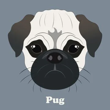 Pug. Print with a beautiful dog with a background Stock Illustration