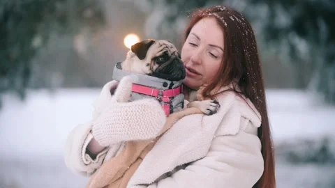 The pug is shivering from the cold. 스톡 동영상 343835731