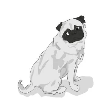 Pug sitting, color, vector イラスト素材