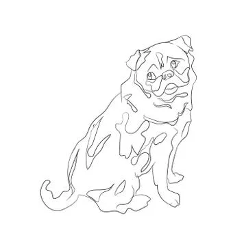 Pug sitting, lines, vector イラスト素材