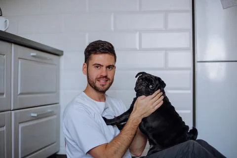 Pug sitting on a man's lap, looking at the camera Stock Photos