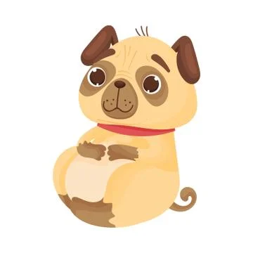 Pug is sitting. Vector illustration on white background. イラスト素材