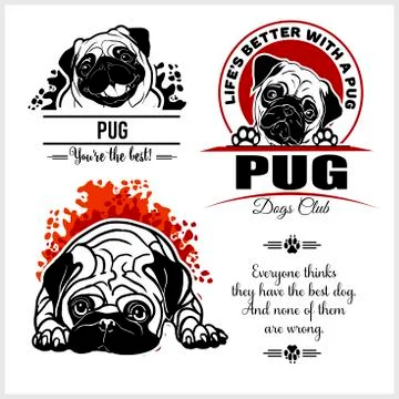 Pug - vector set for t-shirt, logo and template badges Stock Illustration