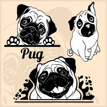 Pug - vector set for t-shirt, logo and template badges Stock Illustration