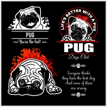 Pug - vector set for t-shirt, logo and template badges Stock Illustration