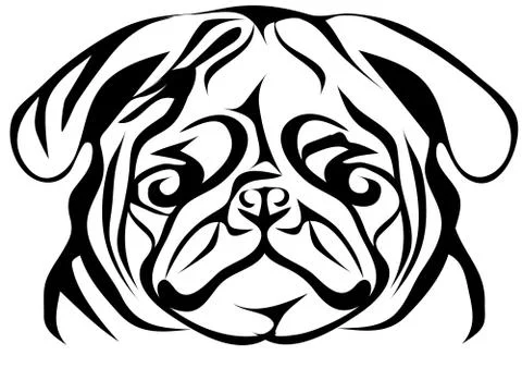 Pug on white Stock Illustration