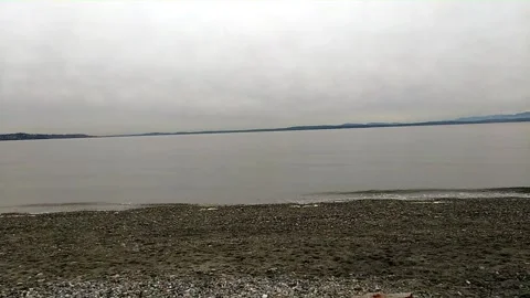 Puget Sound with Olympics Stock Footage 245960419