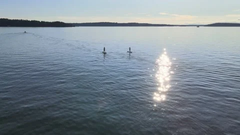 Puget Sound Sunset with Paddle Boarders Stock Footage