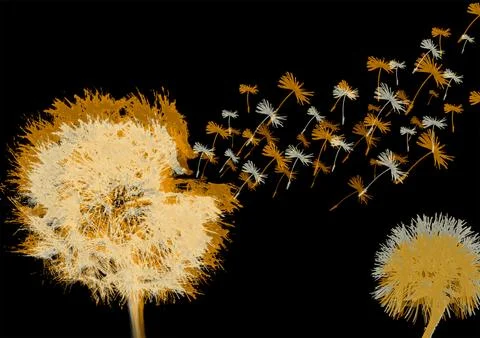Puh Abstract dandelion on a black background. Design element for postcards and p Stock Illustration