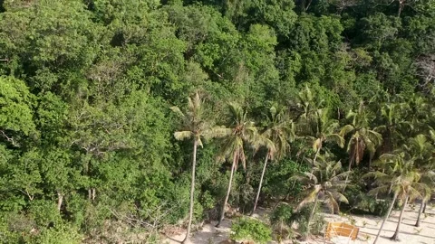 Puka Shell Beach Boracay, Philippines Video stock 151167224