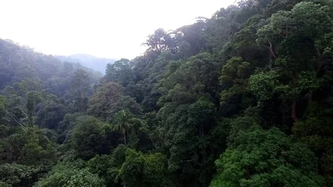 Pulai Mount aerial view Stock Footage 86500942