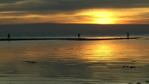 Pulau Labuan Stock Footage 109076605