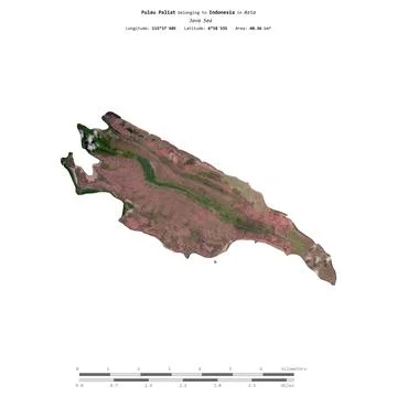 Pulau Paliat. Indonesia. Shape on white. Satellite, April 22, 2021 Stock Illustration