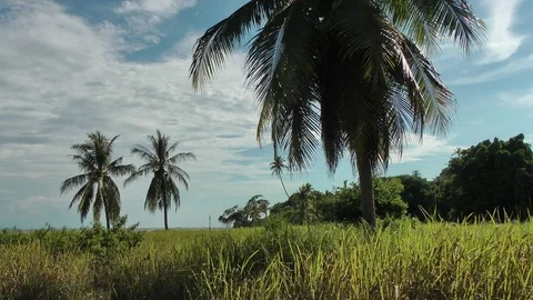 Pulau Rusukan Stock Footage 107768402
