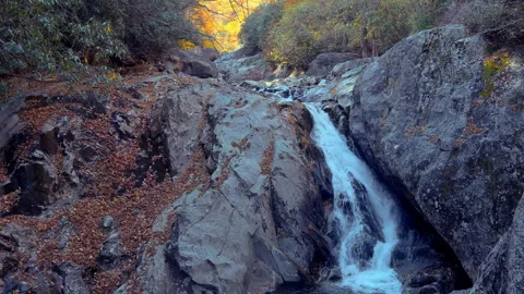Pull away dolly shot of waterfall in autumn Stock Footage 254433846