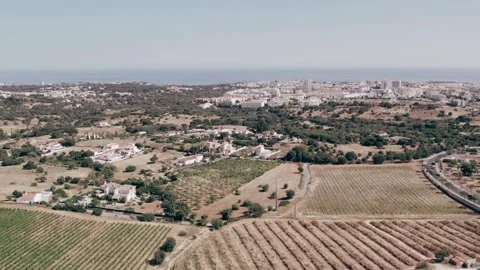 Pull away drone aerial view over an American lush green suburban neighborhood. Stock Footage 280116370